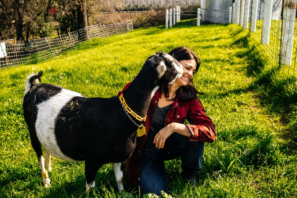 goat licking a womans face