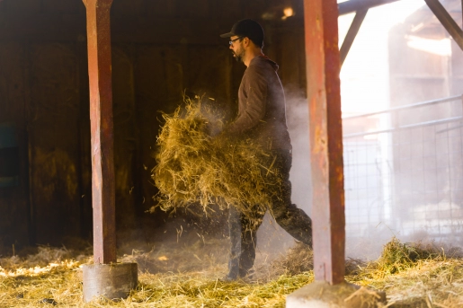 a man carrying a handful of hay into a barn